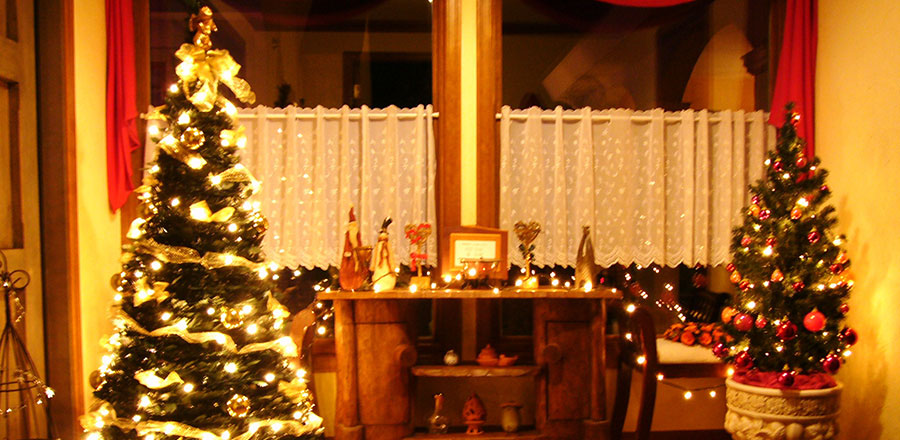 クリスマスの時期にはたくさんの装飾でお客様をお迎えいたします。